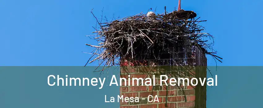 Chimney Animal Removal La Mesa - CA