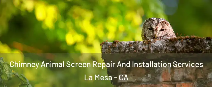  Chimney Animal Screen Repair And Installation Services La Mesa - CA