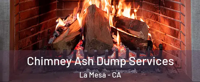  Chimney Ash Dump Services La Mesa - CA