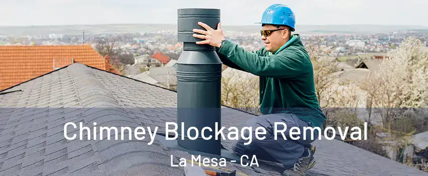  Chimney Blockage Removal La Mesa - CA