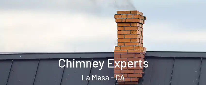 Chimney Experts La Mesa - CA