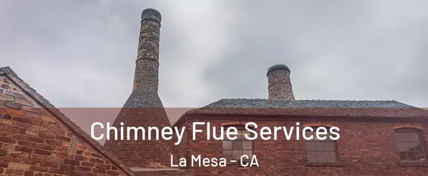  Chimney Flue Services La Mesa - CA