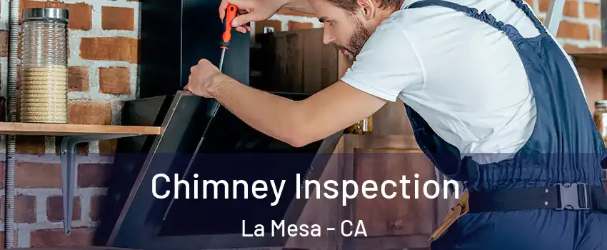  Chimney Inspection La Mesa - CA