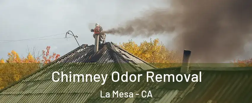 Chimney Odor Removal La Mesa - CA