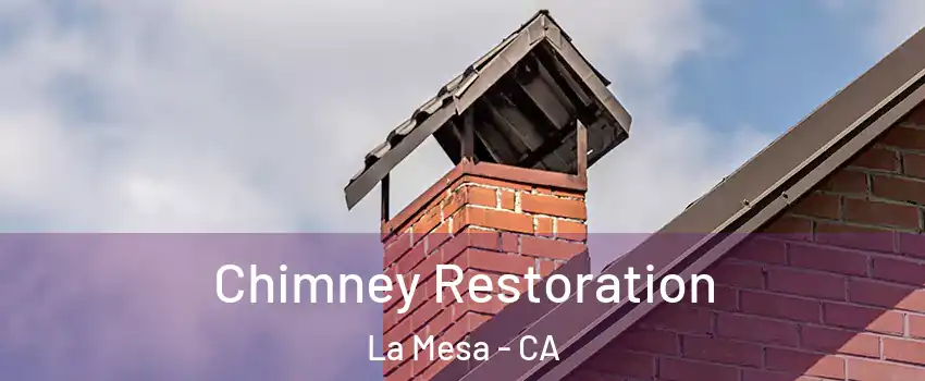  Chimney Restoration La Mesa - CA