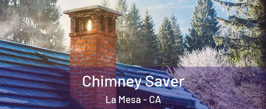  Chimney Saver La Mesa - CA