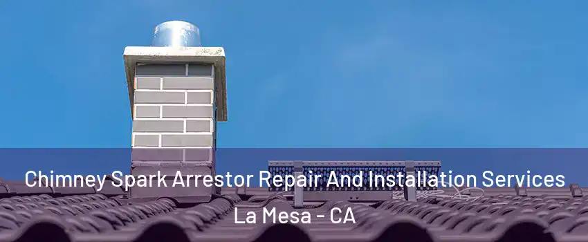  Chimney Spark Arrestor Repair And Installation Services La Mesa - CA