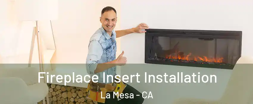 Fireplace Insert Installation La Mesa - CA