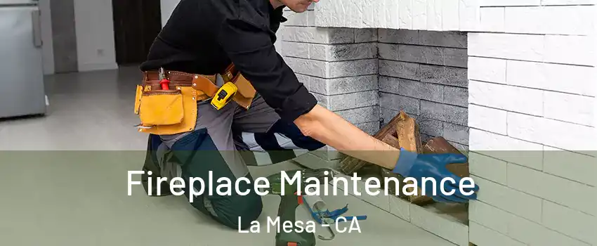  Fireplace Maintenance La Mesa - CA