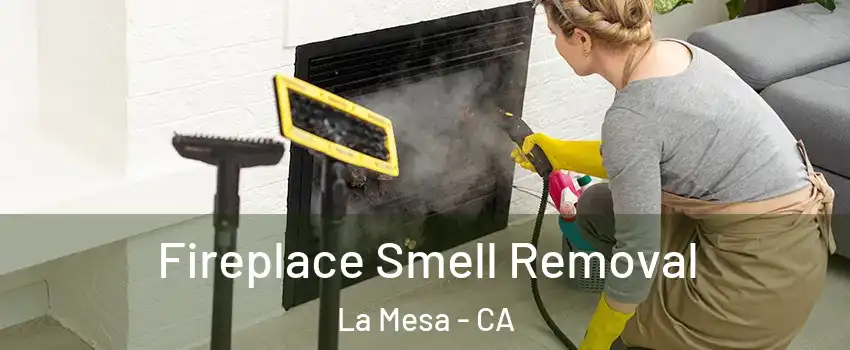  Fireplace Smell Removal La Mesa - CA