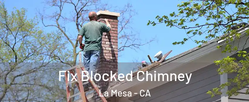  Fix Blocked Chimney La Mesa - CA