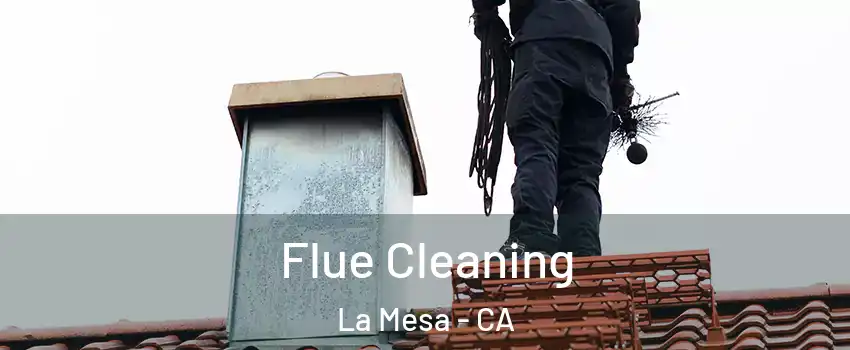  Flue Cleaning La Mesa - CA
