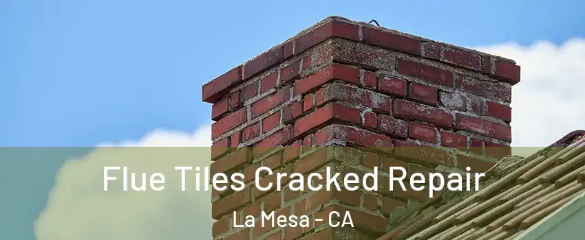  Flue Tiles Cracked Repair La Mesa - CA