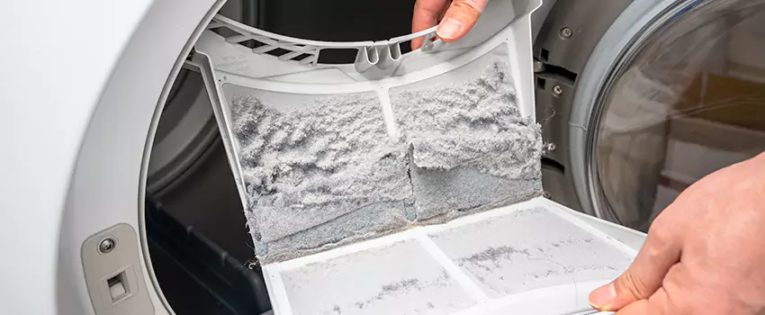 Best Dryer Lint Removal Company in La Mesa, California