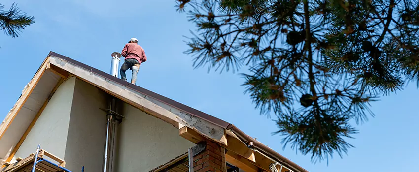 Birds Removal Contractors from Chimney in La Mesa, CA