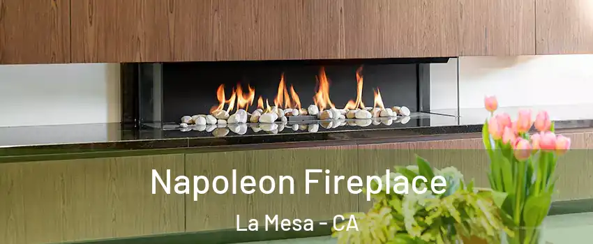  Napoleon Fireplace La Mesa - CA